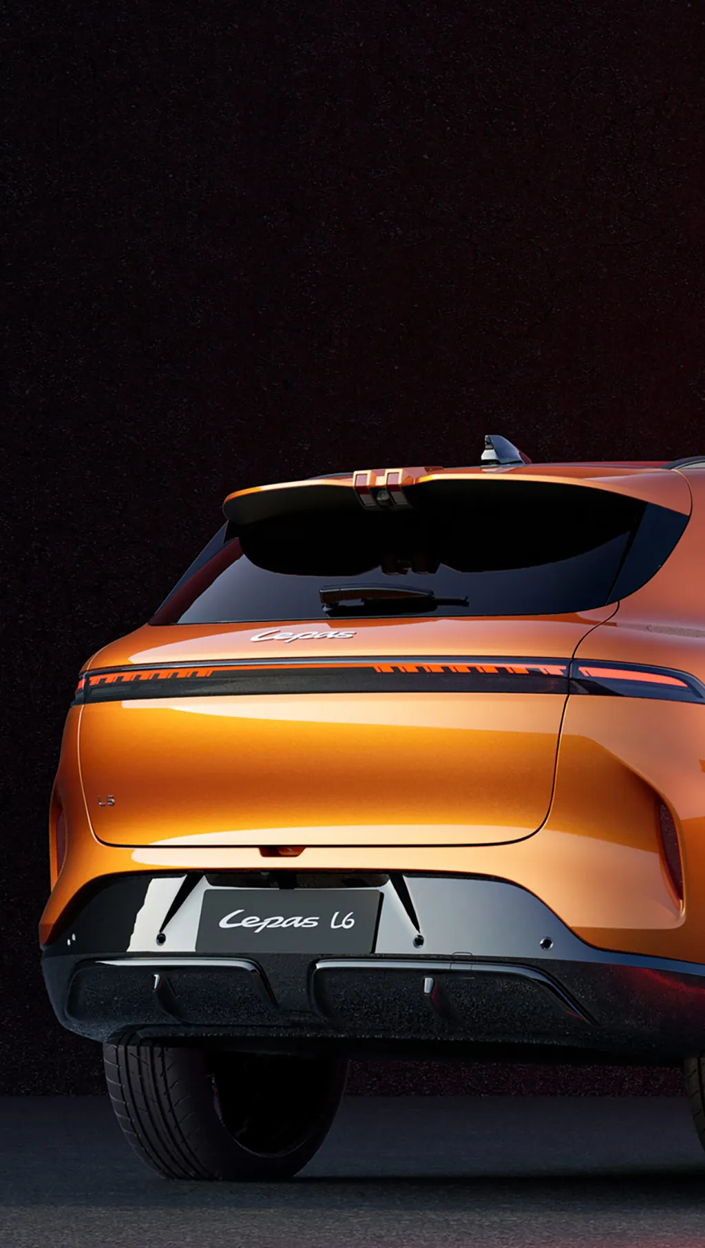 l6-banner_mb02